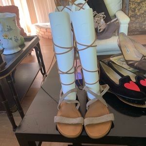 Seychelles Tall Gladiator Sandals